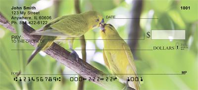 Parakeets