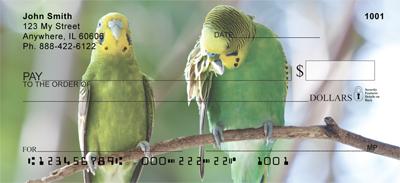 Parakeets