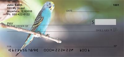 Parakeets