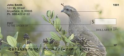 Quail