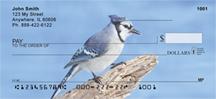 Blue Jays