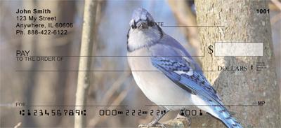 Blue Jays