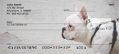 White French Bulldogs