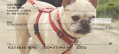 Tan French Bulldogs