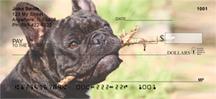 Black French Bulldogs