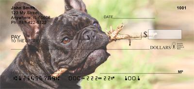 Black French Bulldogs