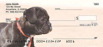 Black French Bulldogs