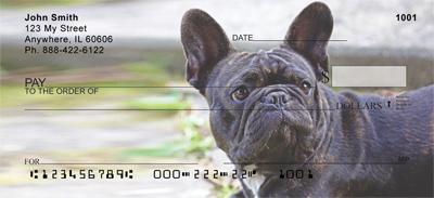 Black French Bulldogs