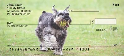 Miniature Schnauzers Outside