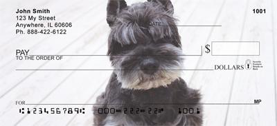 Cute Miniature Schnauzers