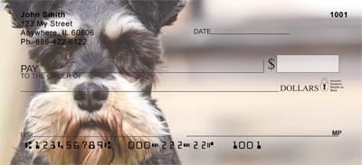 Cute Miniature Schnauzers