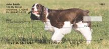 Sweet Springer Spaniels