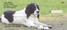 Black Springer Spaniels