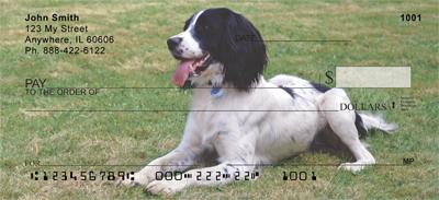 Black Springer Spaniels