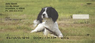 Black Springer Spaniels
