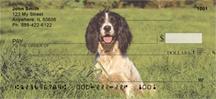 Lovable Springers