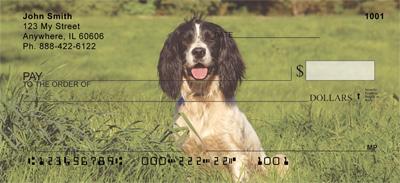 Lovable Springers