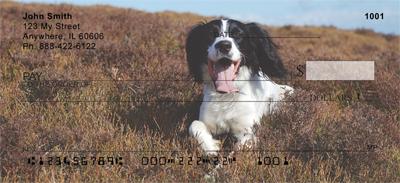Lovable Springers