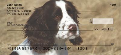 Lovable Springers