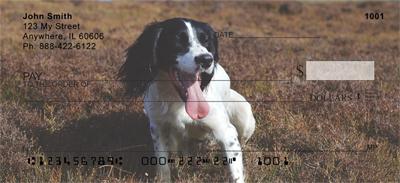 Lovable Springers