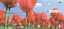 Red Tulips