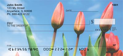 Red Tulips