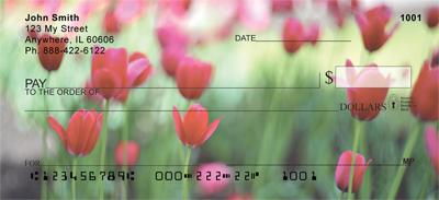 Red Tulips