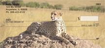 Alert Cheetahs