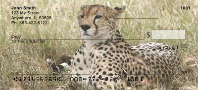 Alert Cheetahs