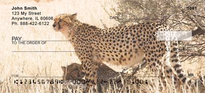 Alert Cheetahs