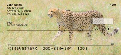 Alert Cheetahs