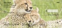 Cheetah Cubs