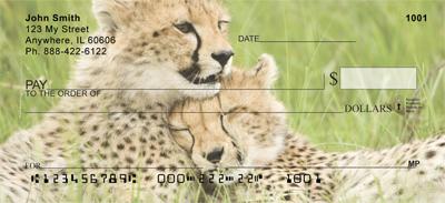 Cheetah Cubs