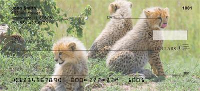 Cheetah Cubs