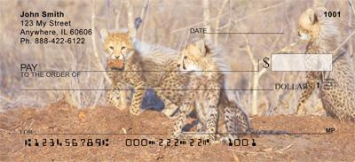 Cheetah Cubs