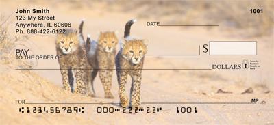 Cheetah Cubs