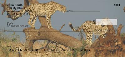 Sleek Cheetahs