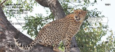 Sleek Cheetahs