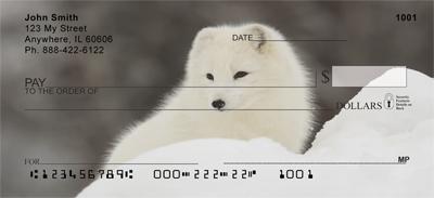 Arctic Foxes