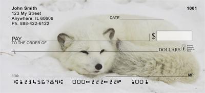 Arctic Foxes