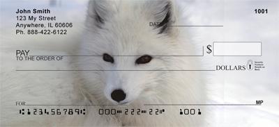 Arctic Foxes