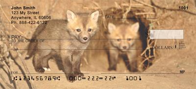 Red Fox Kits
