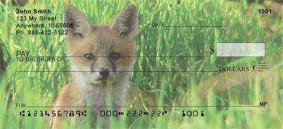 Red Fox Kits