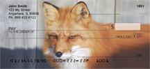 Wild Foxes