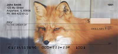 Wild Foxes