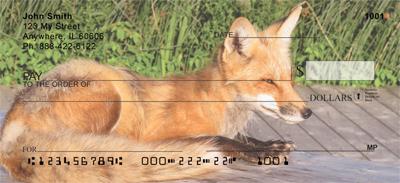 Wild Foxes