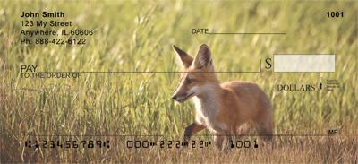 Wild Foxes