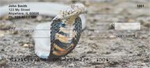 Cobras