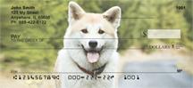 Regal Akitas