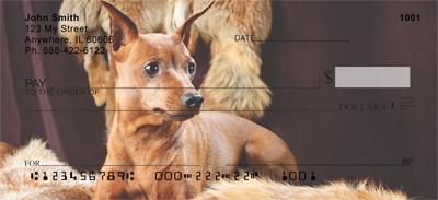 Red Miniature Pinschers